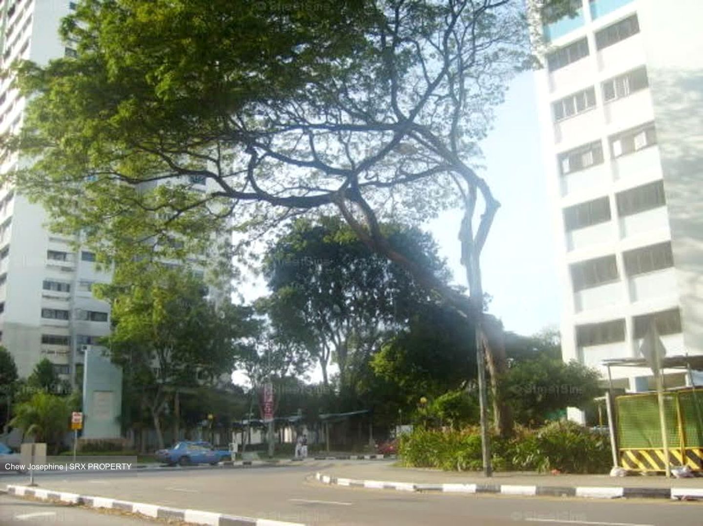 Marine Terrace Haven (D15), Shop House #530805291